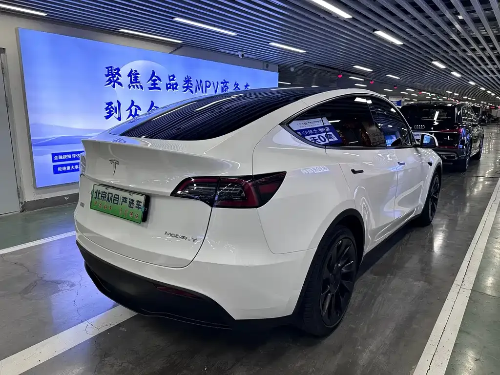 Tesla Model Y — фото 3