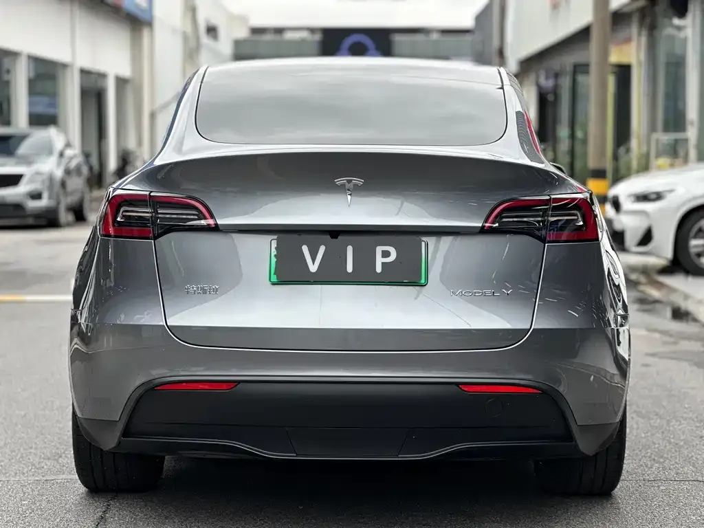 Tesla Model Y — фото 8