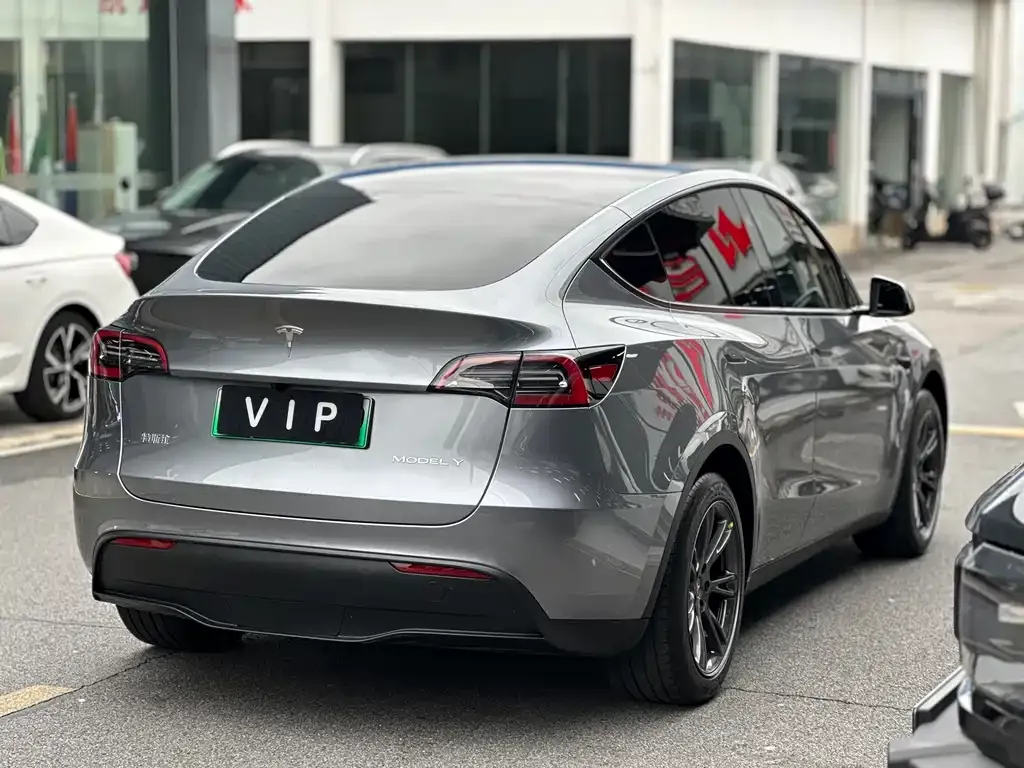 Tesla Model Y — фото 9