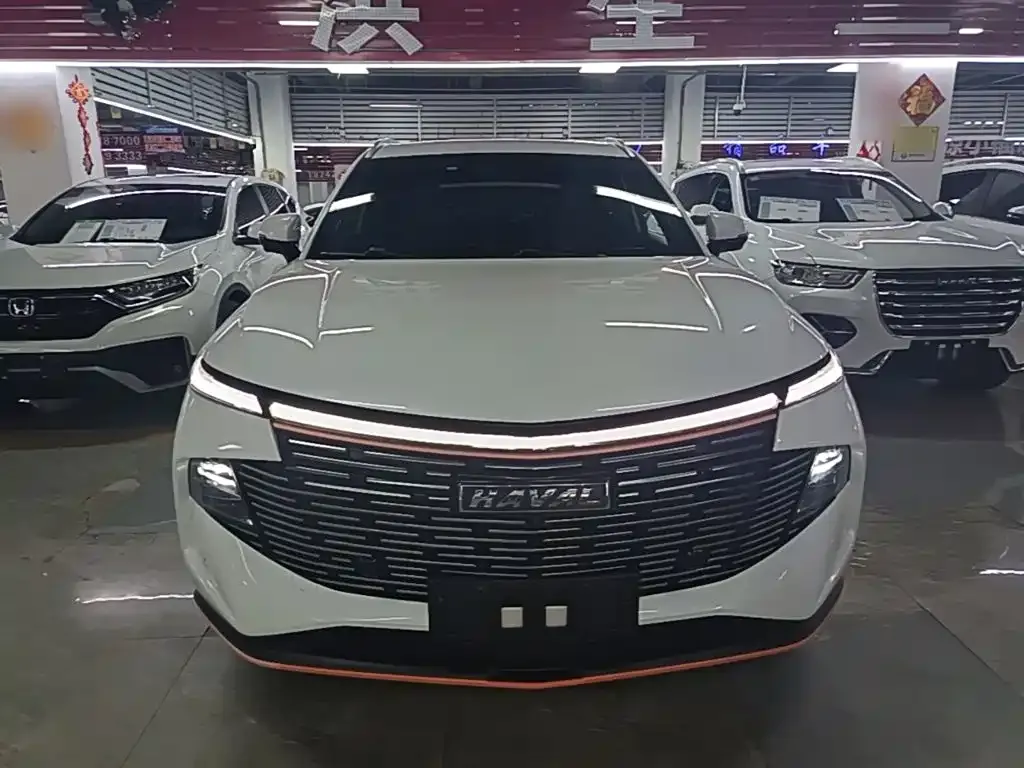Haval Shenshou 2022 из CN, фото 4
