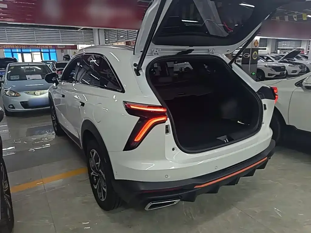 Haval Shenshou 2022 из CN, фото 5