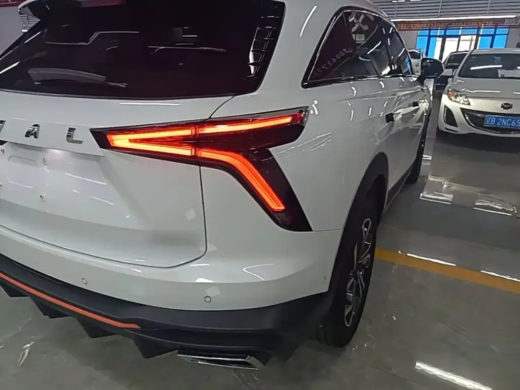 Haval Shenshou 2022 из CN, фото 8