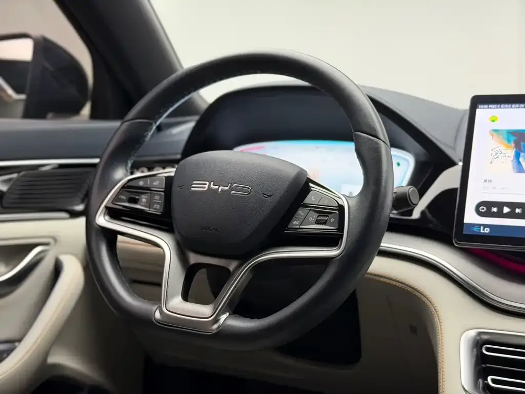 BYD PLUS New Energy — фото 3