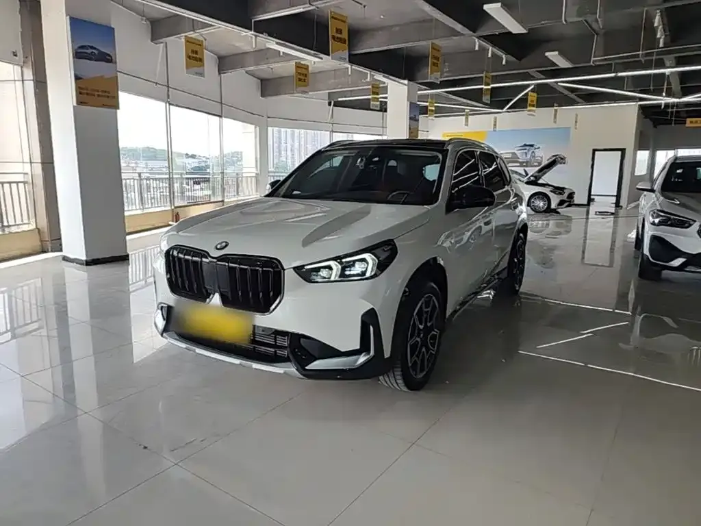 BMW X1 — фото 1