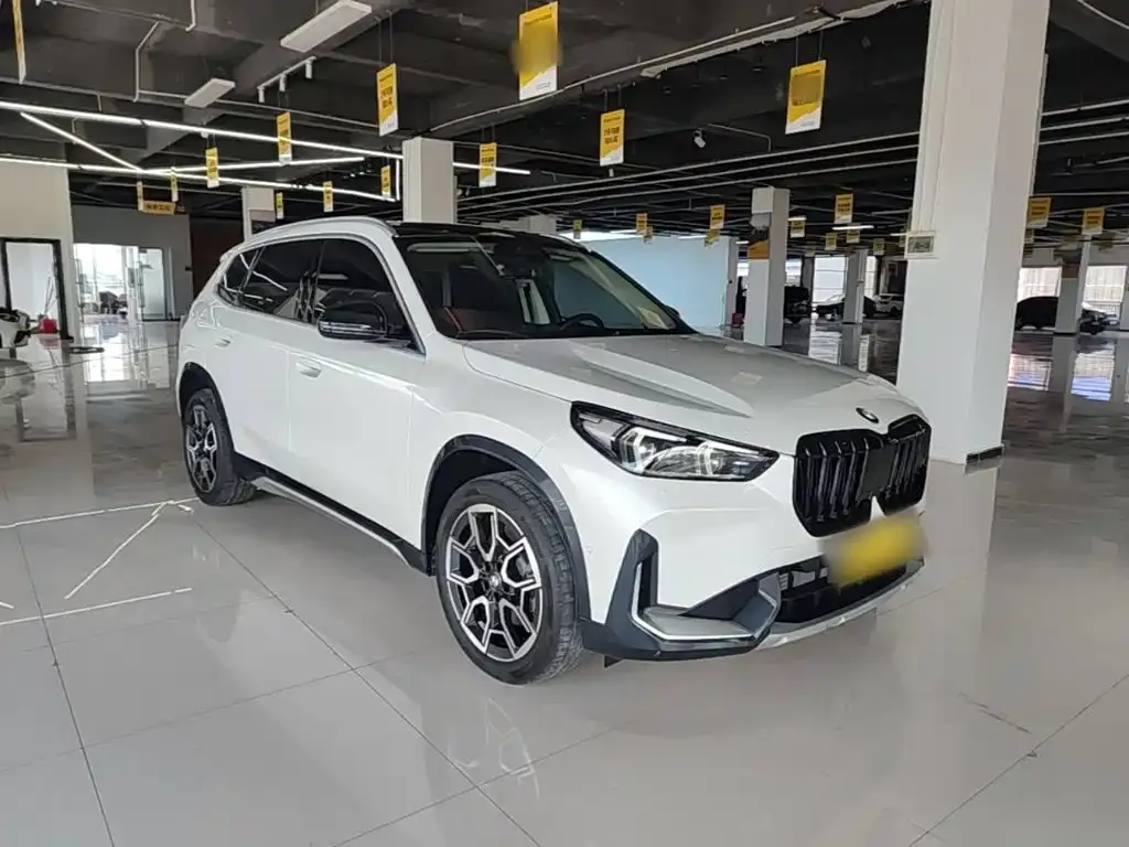 BMW X1 — фото 10