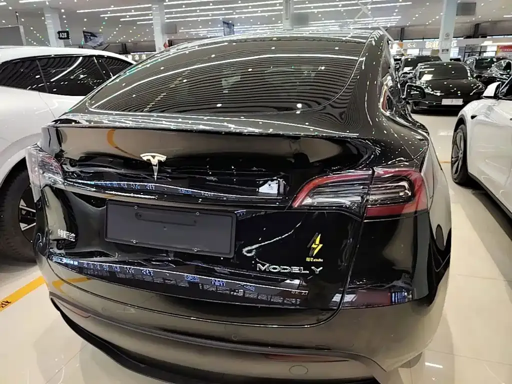 Tesla Model Y — фото 6