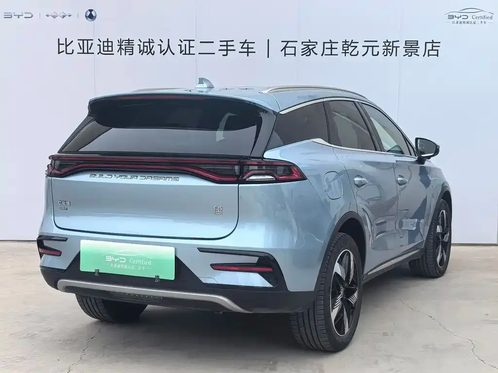 BYD Tang New Energy 2024 из CN, фото 7