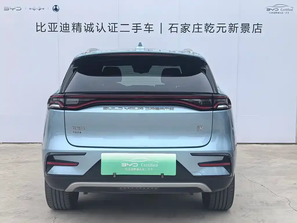 BYD Tang New Energy 2024 из CN, фото 3