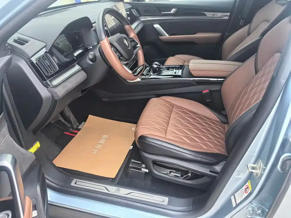 BYD Tang New Energy 2024 из CN, фото 9