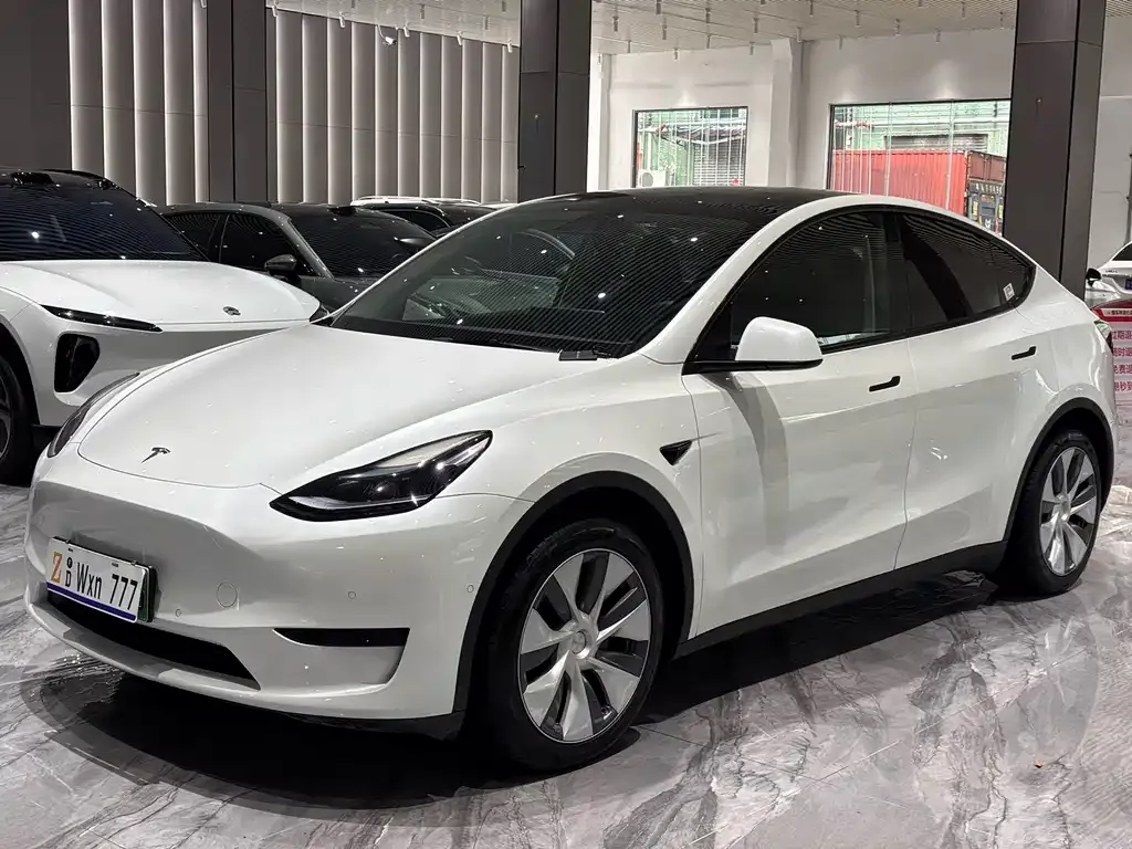 Tesla Model Y — фото 8