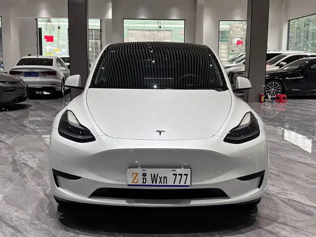 Tesla Model Y — фото 7