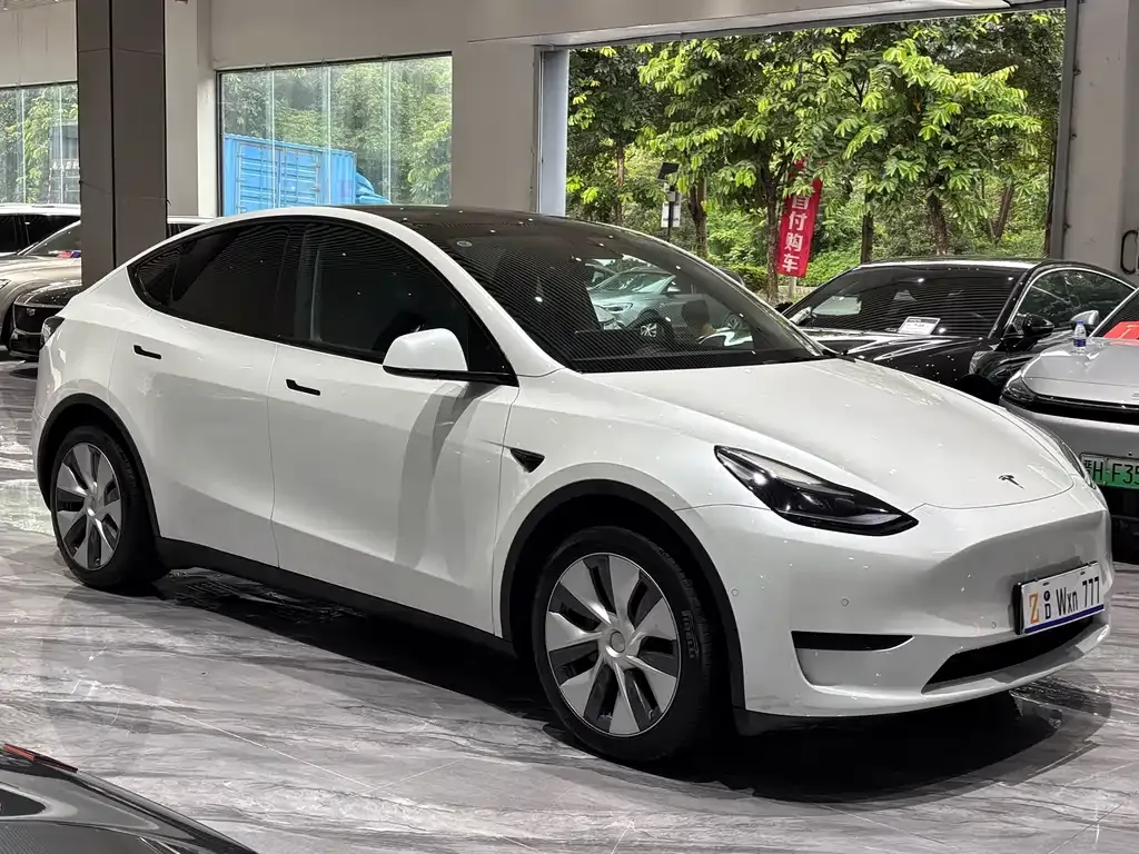 Tesla Model Y — фото 9