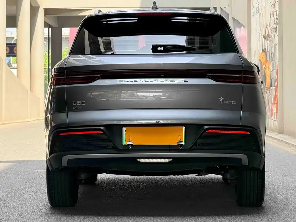 BYD Pro New Energy — фото 3