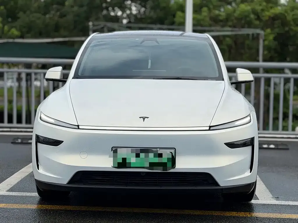 Tesla Model Y — фото 2