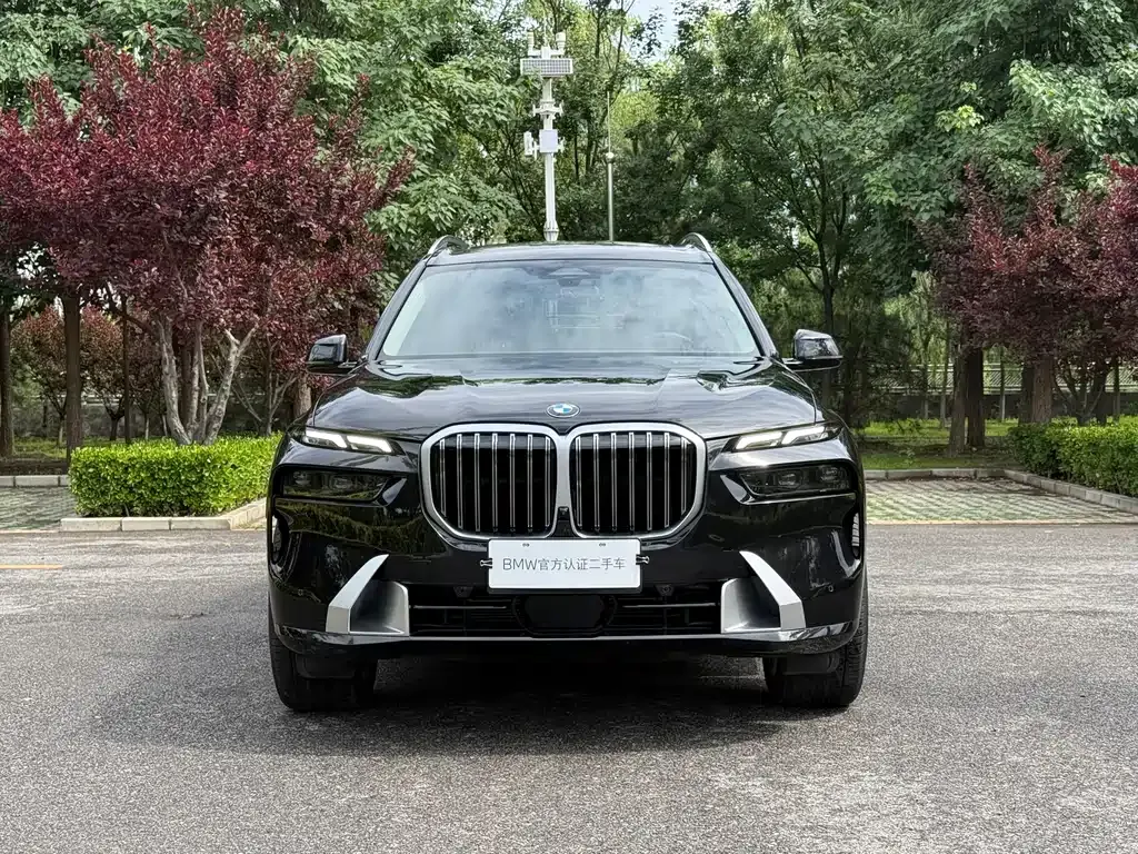 BMW X7 — фото 10