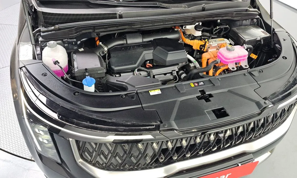Kia Carnival — фото 10