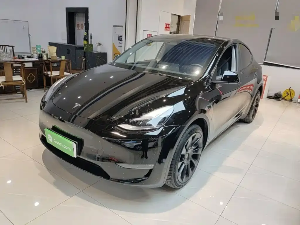 Tesla Model Y — фото 10