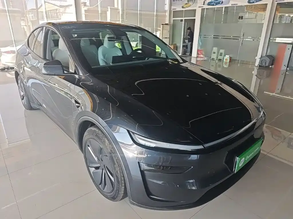 Tesla Model Y — фото 3