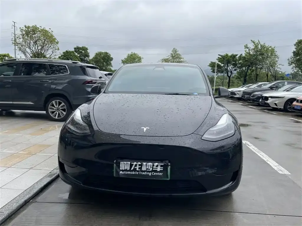 Tesla Model Y — фото 3
