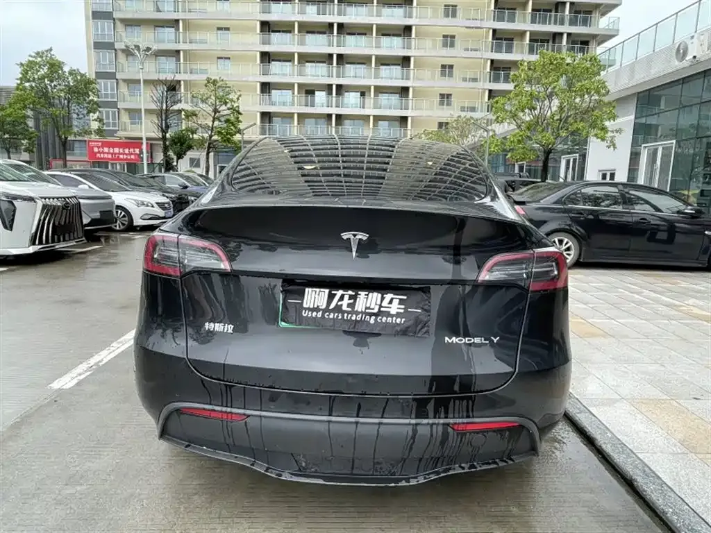 Tesla Model Y — фото 9