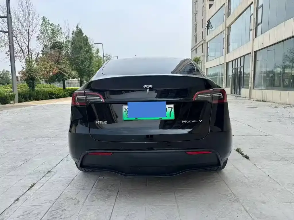 Tesla Model Y — фото 2