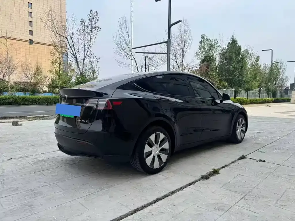 Tesla Model Y — фото 4