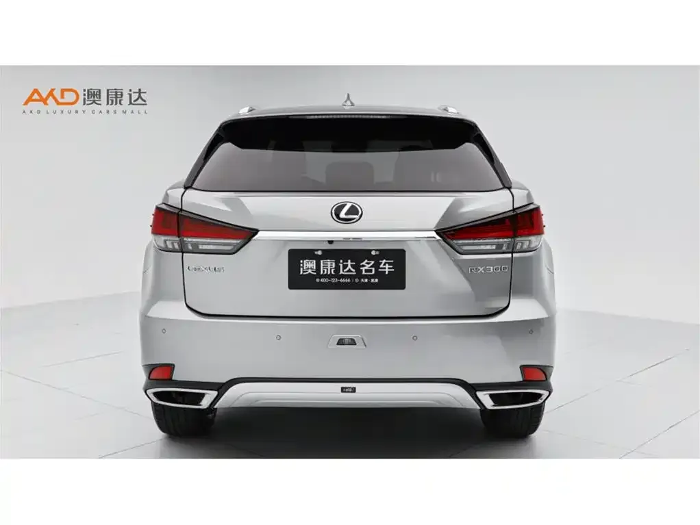 Lexus RX — фото 10