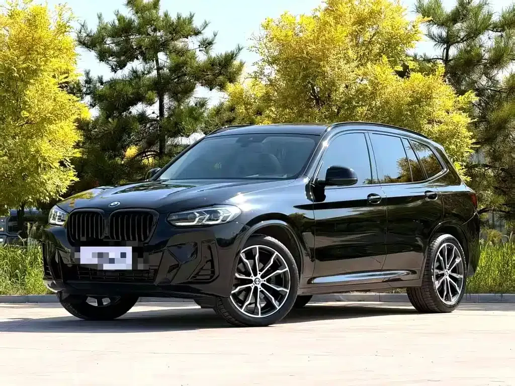 BMW X3 — фото 1