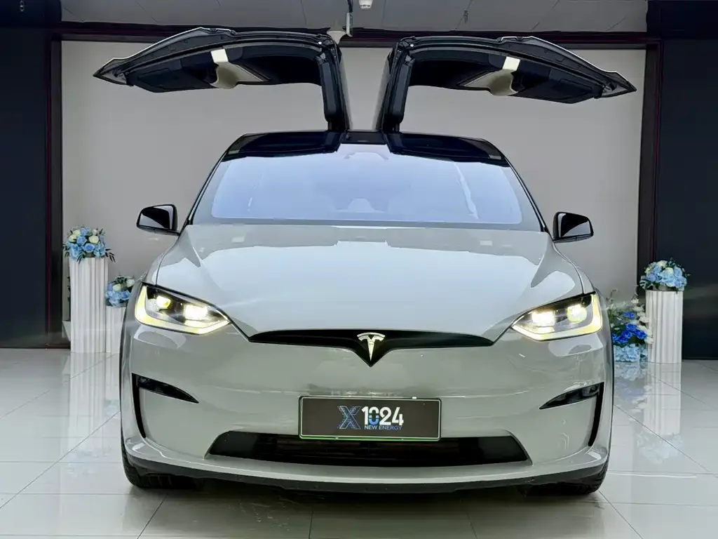 Tesla Model X — фото 2