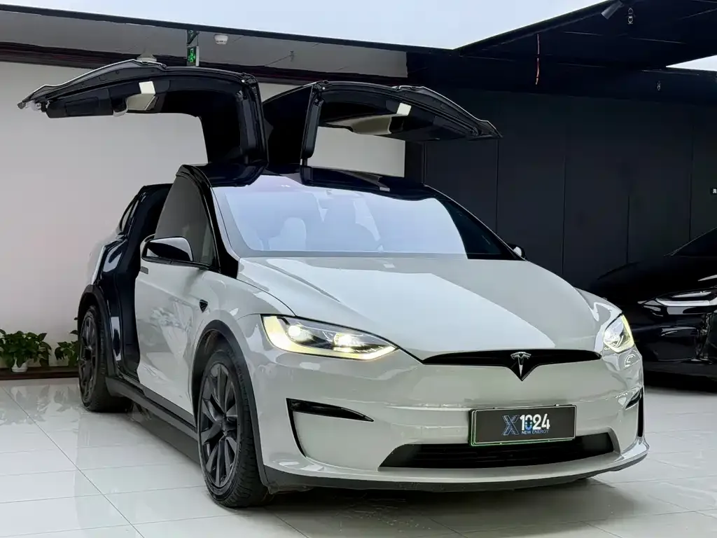 Tesla Model X — фото 10