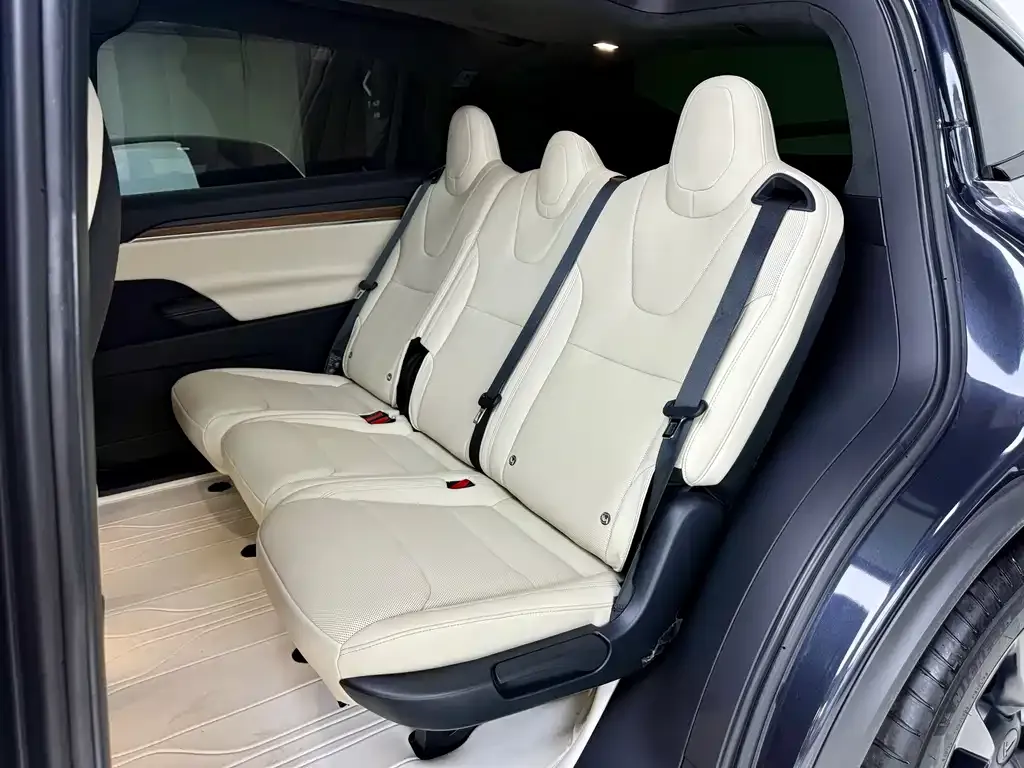 Tesla Model X — фото 8