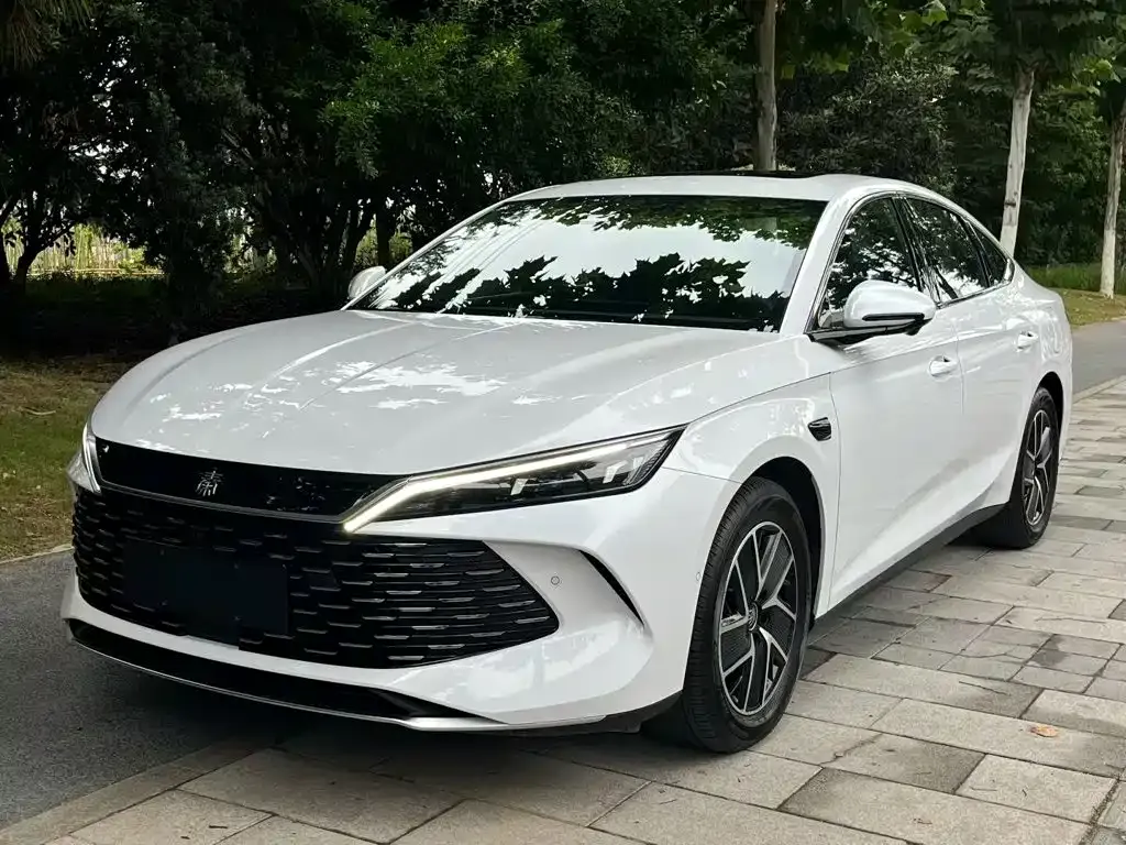 BYD Qin L — фото 2