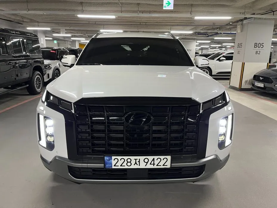 Hyundai Palisade — фото 1