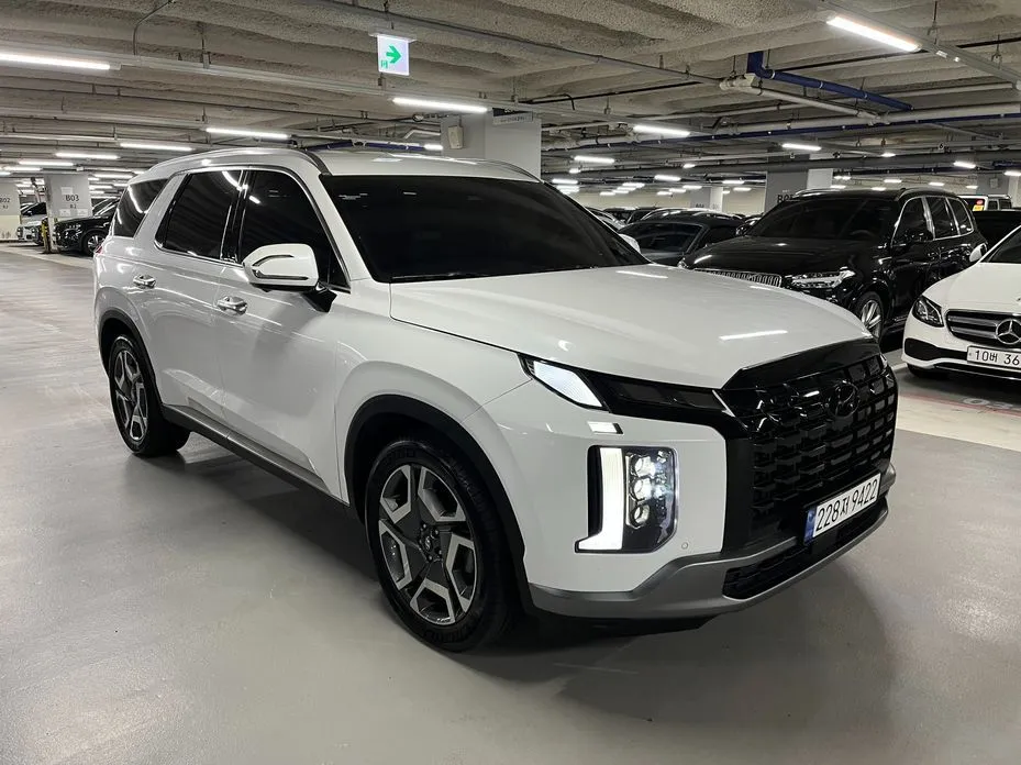Hyundai Palisade — фото 10