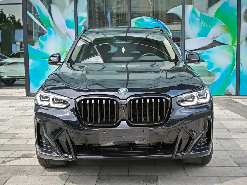 BMW X3 — фото 10