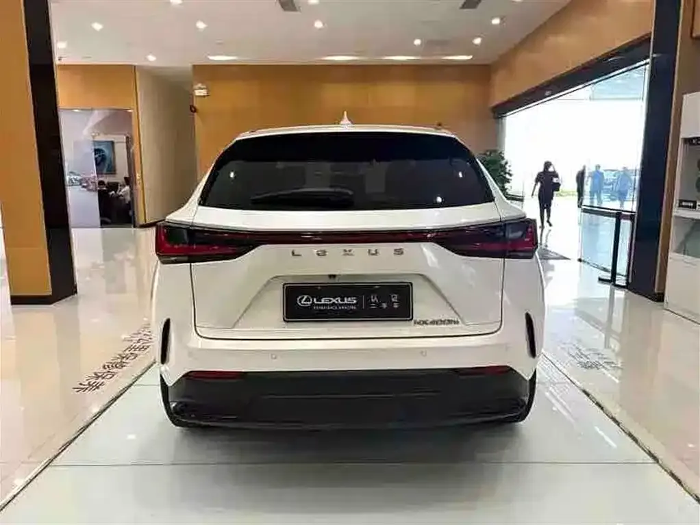 Lexus NX New Energy — фото 7