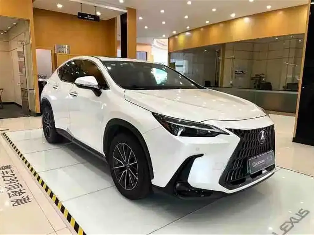 Lexus NX New Energy — фото 8