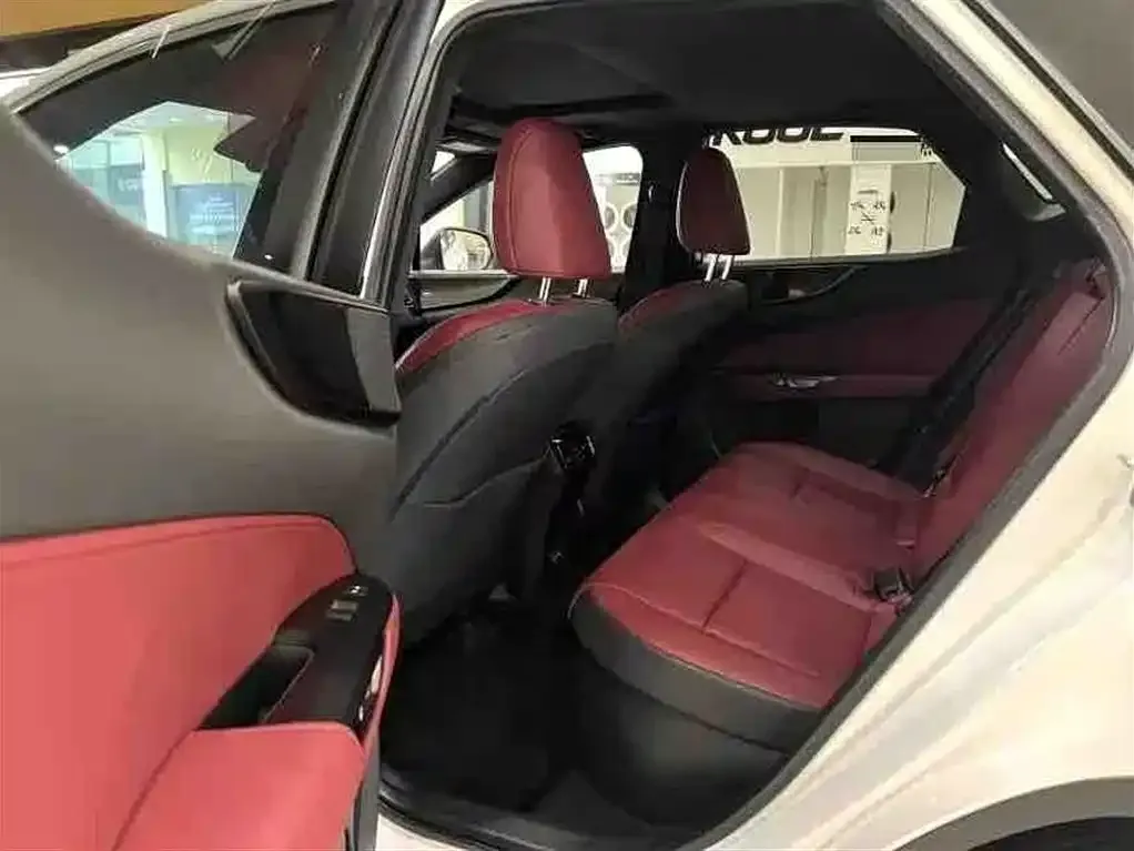 Lexus NX New Energy — фото 2
