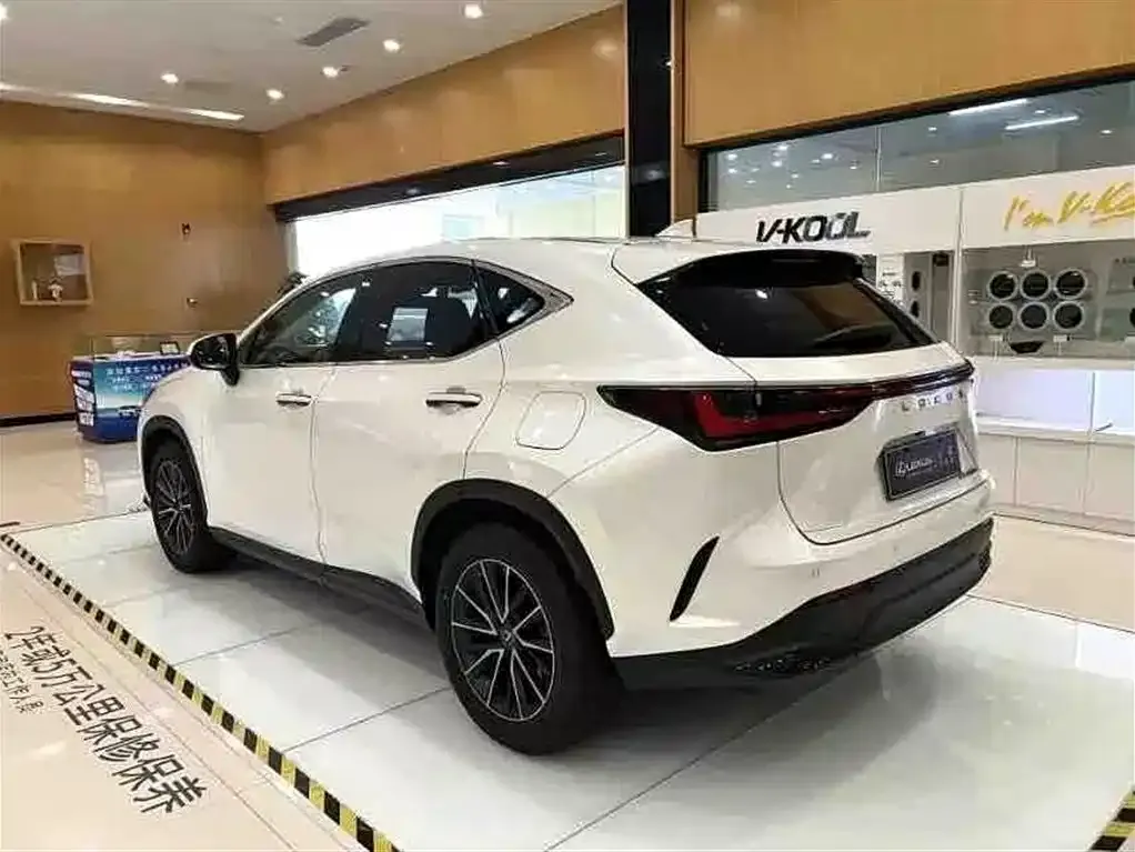 Lexus NX New Energy — фото 9