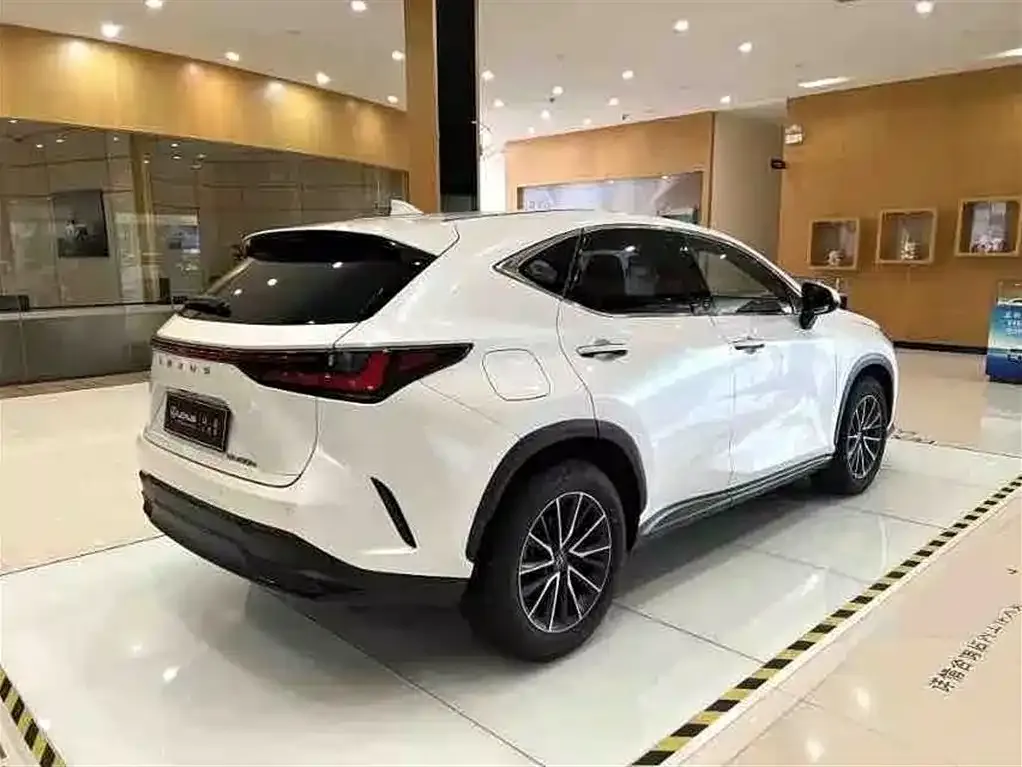 Lexus NX New Energy — фото 10