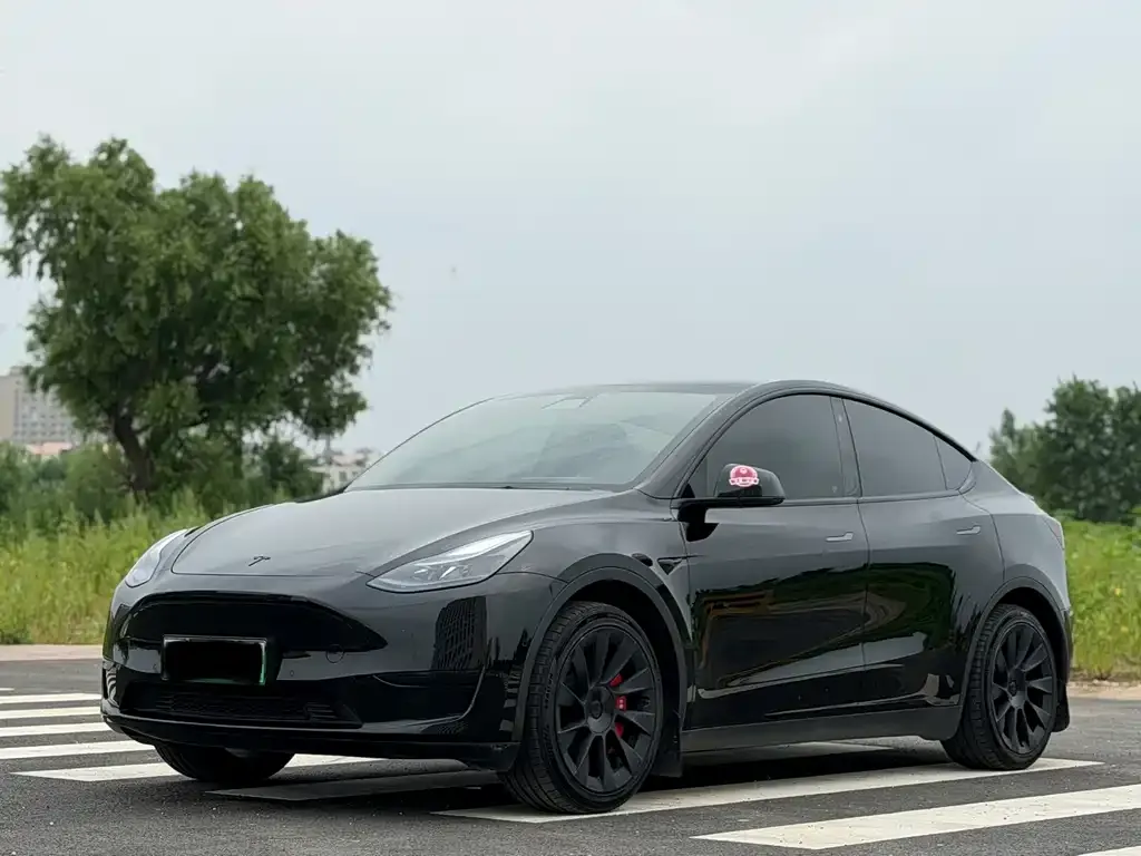 Tesla Model Y — фото 1