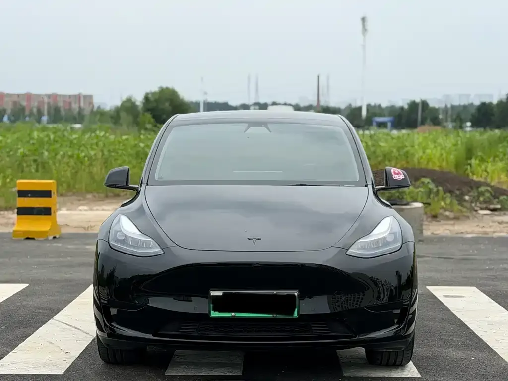Tesla Model Y — фото 9