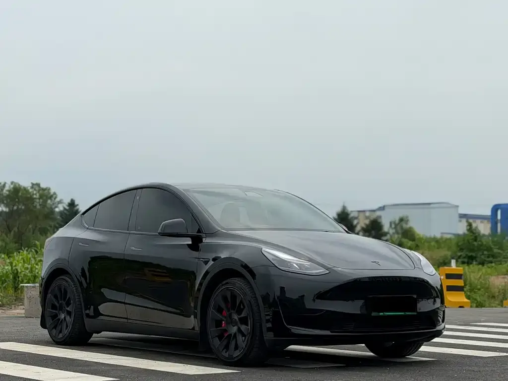 Tesla Model Y — фото 2