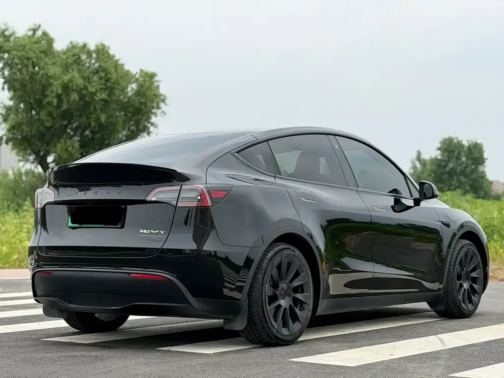Tesla Model Y — фото 10