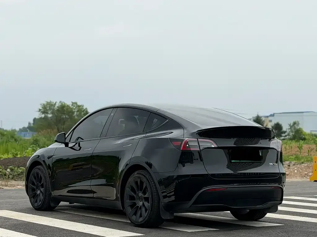 Tesla Model Y — фото 8