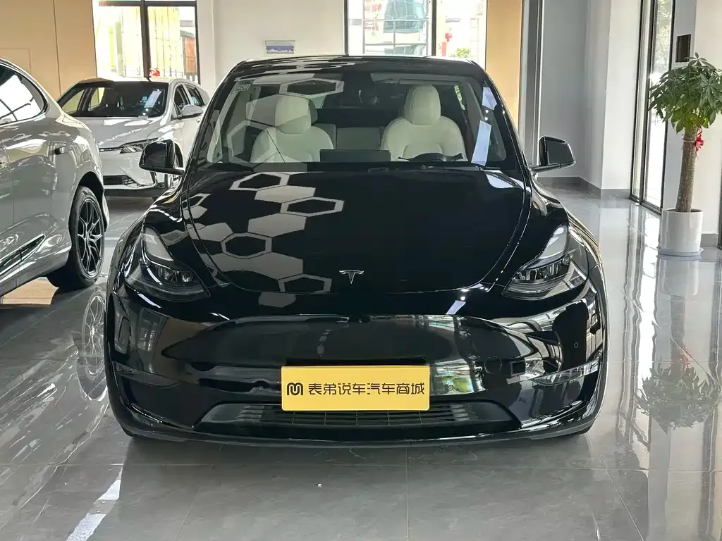 Tesla Model Y — фото 3