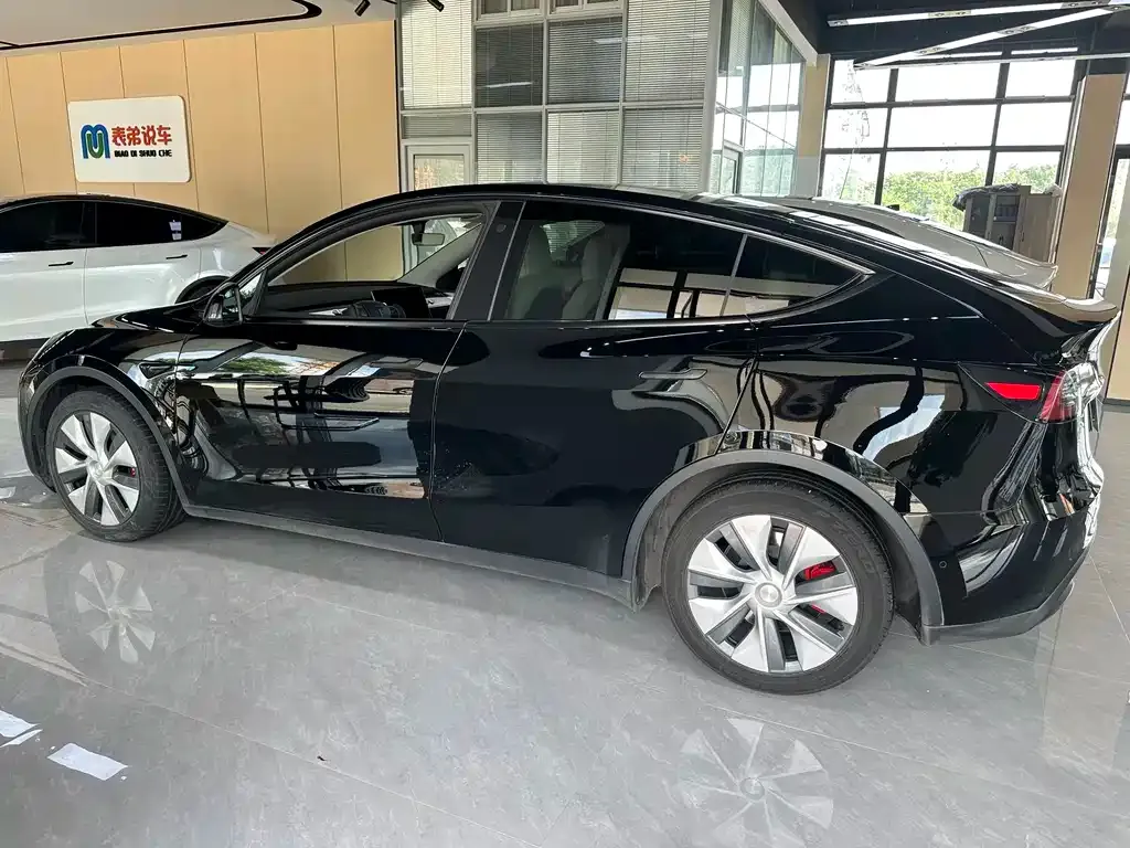 Tesla Model Y — фото 7
