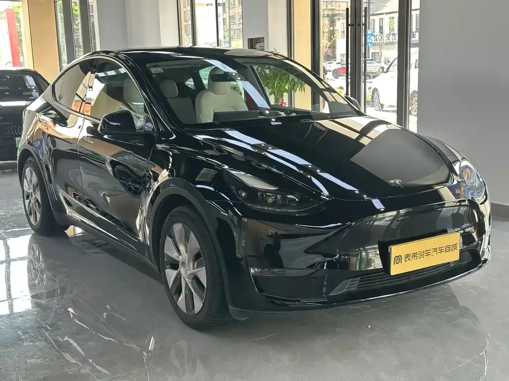 Tesla Model Y — фото 5