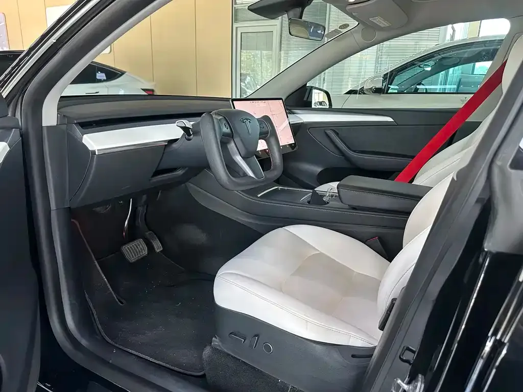 Tesla Model Y — фото 8