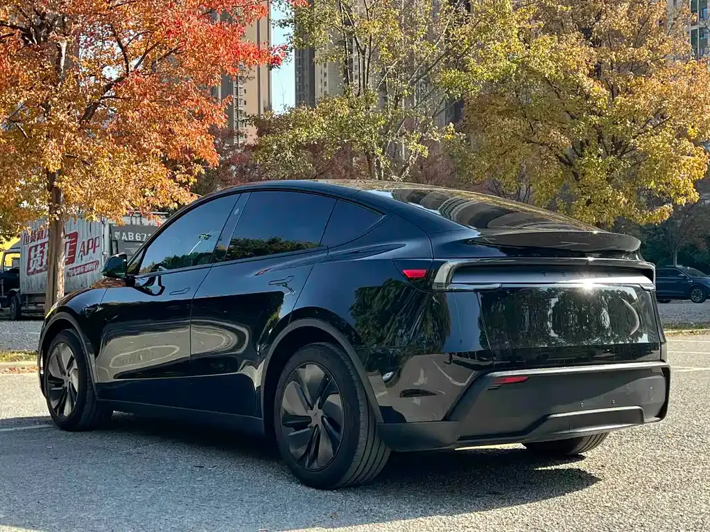 Tesla Model Y — фото 10
